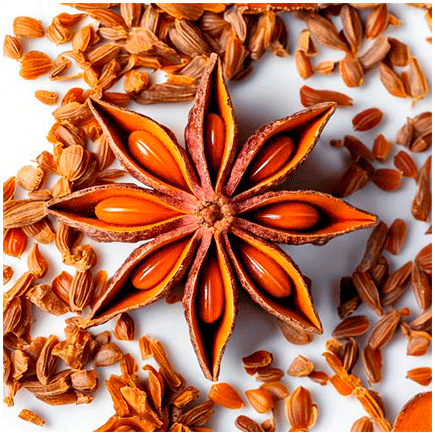 Anise Natural flavour